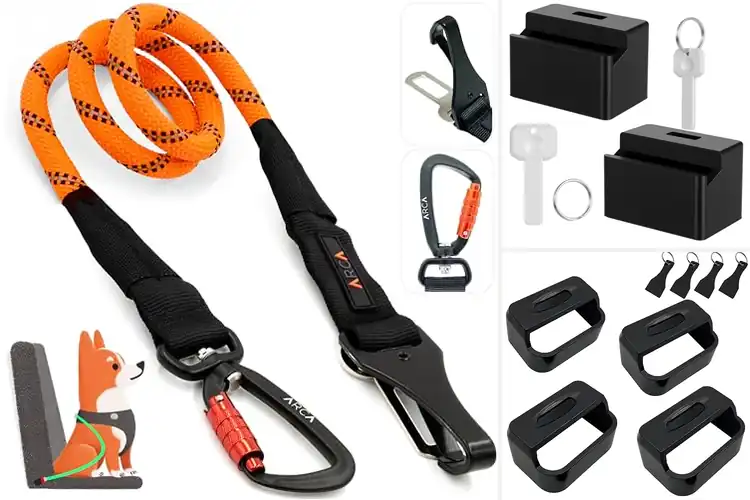 Detailed view of Best Auto Locking Seat Belts