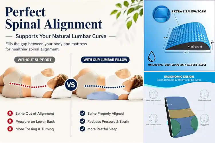 Detailed view of Best Back Pain Relief Pillows