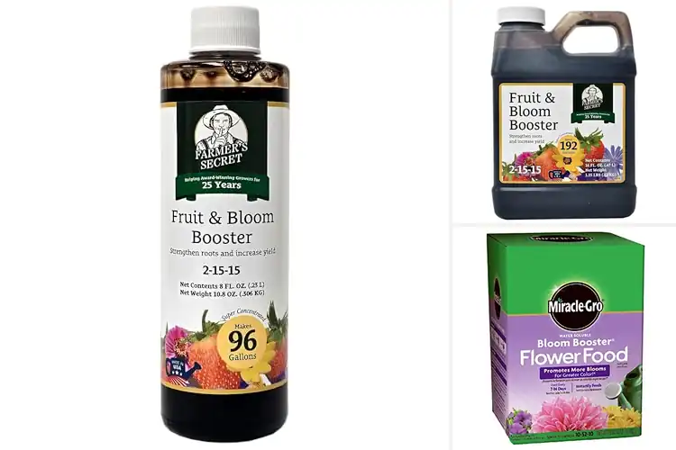 Detailed view of Best Bloom Booster Concentrates
