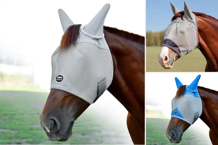 Detailed view of Best Breathable Horse Fly Masks: Top 10 Picks for Comfort