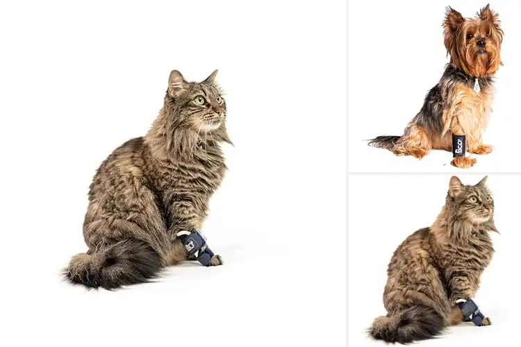 Detailed view of Best Carpal Splints For Cats
