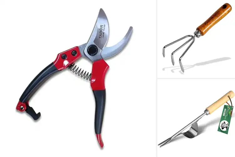 Detailed view of Best Chrome-Plated Garden Tools