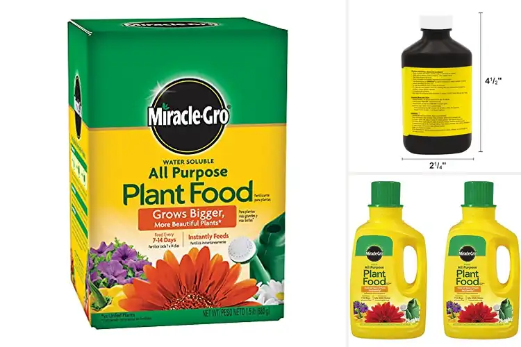 Detailed view of Best Concentrated Plant Foods for Rapid Growth