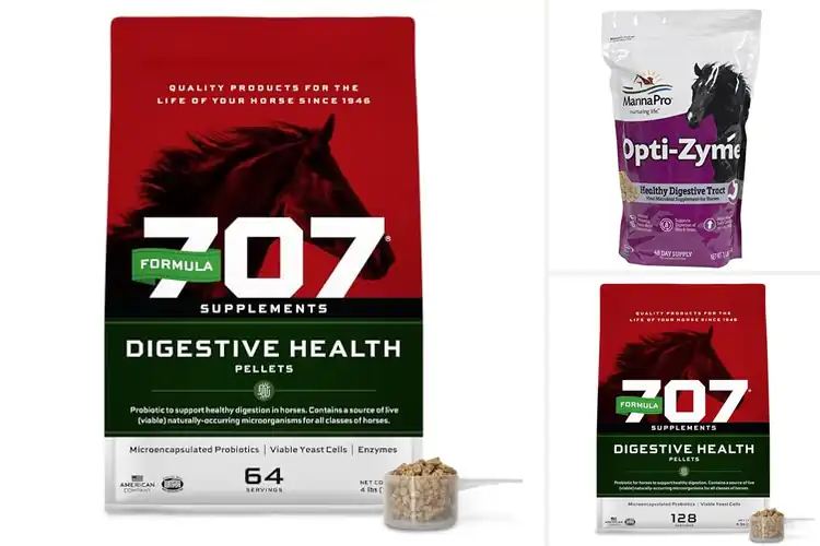 Detailed view of Best Digestive Enzymes for Horses