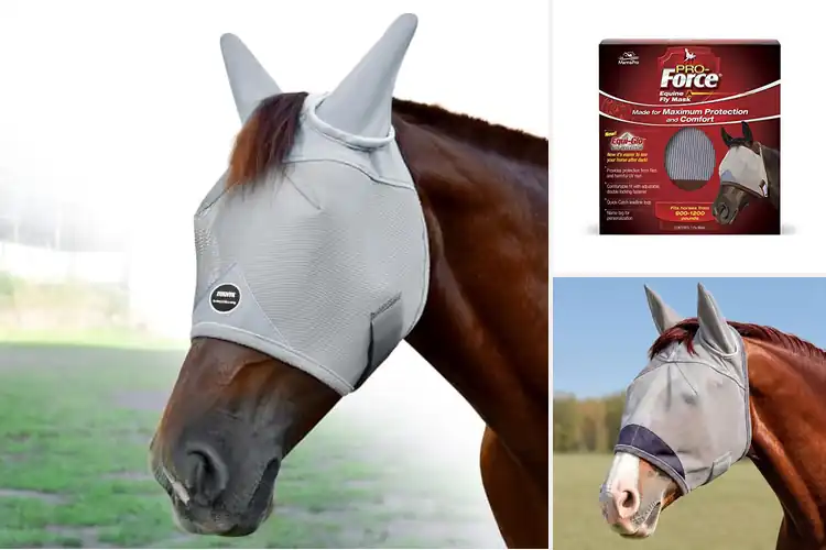 Detailed view of Best Durable Horse Fly Masks