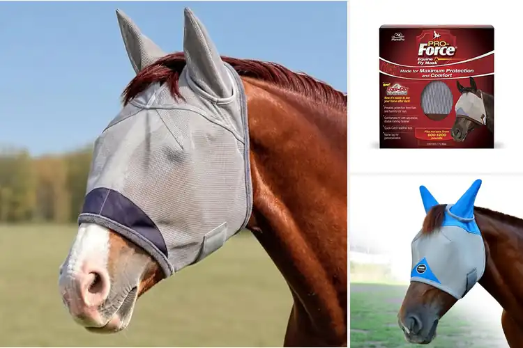 Detailed view of Best Fly Masks For Horses: Top 10 Comfort Picks