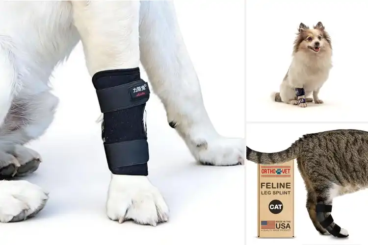 Detailed view of Best Fracture Supports For Pets