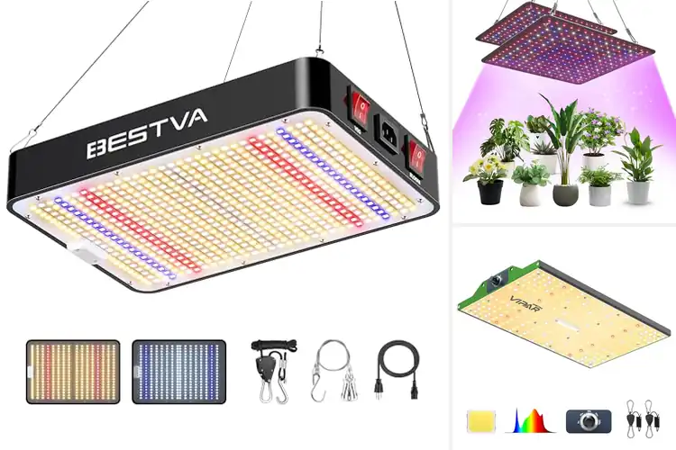 Detailed view of Best Grow Lights For Tents