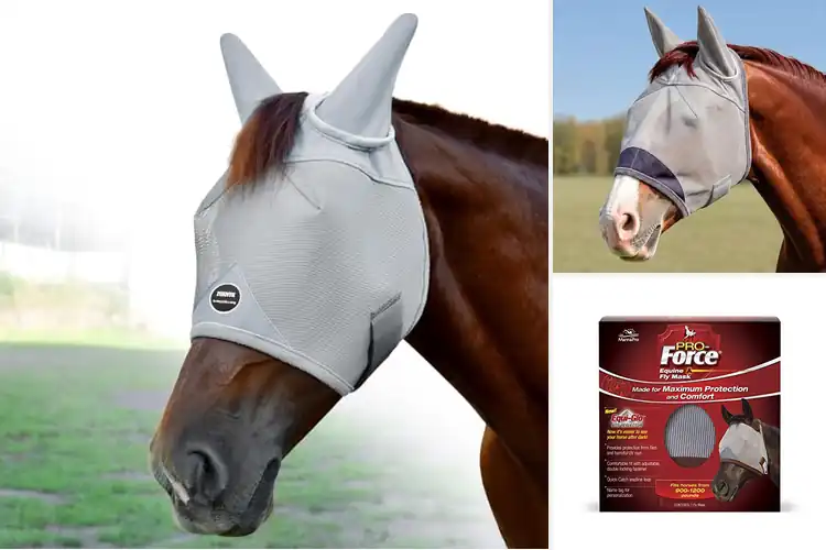 Detailed view of Best Horse Fly Masks With Uv Protection