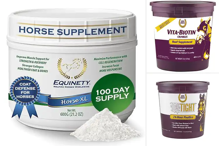 Detailed view of Best Horse Health Products