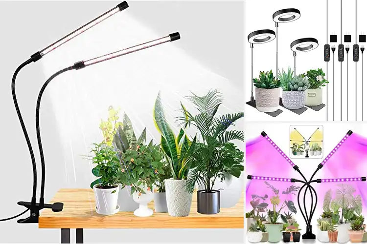 Detailed view of Best Indoor Plant Lights: Top 10 Picks for a Thriving Garden