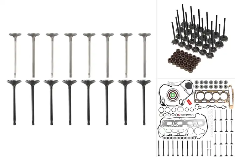 Detailed view of Best Intake Valve Sets