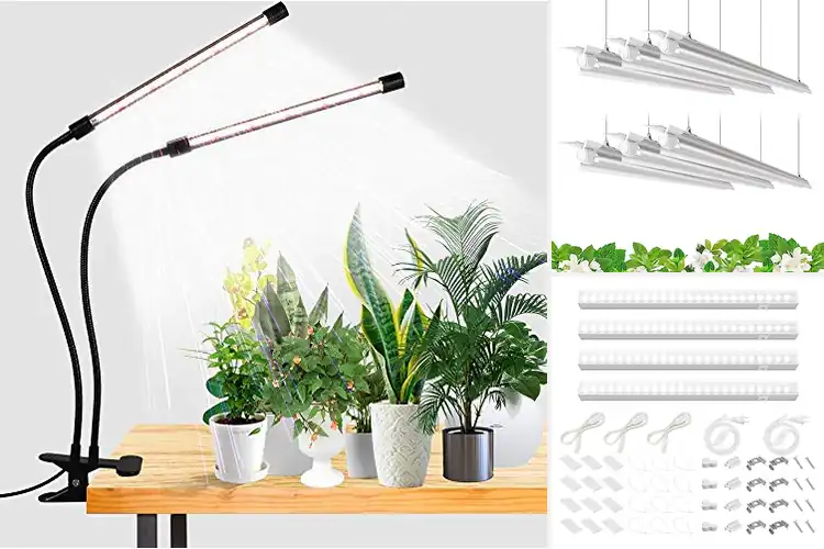 Detailed view of Best LED Grow Lights