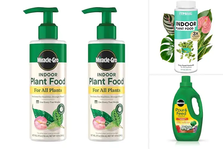 Detailed view of Best Liquid Plant Foods