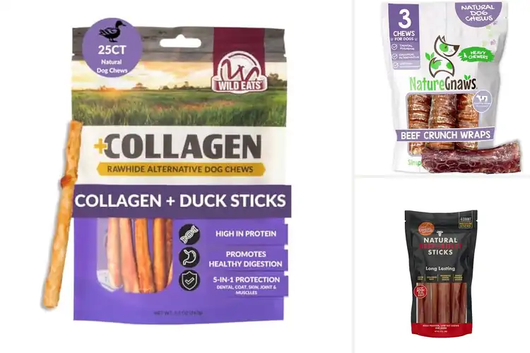 Detailed view of Best Natural Dog Chews: Healthy Teeth, Happy Pup