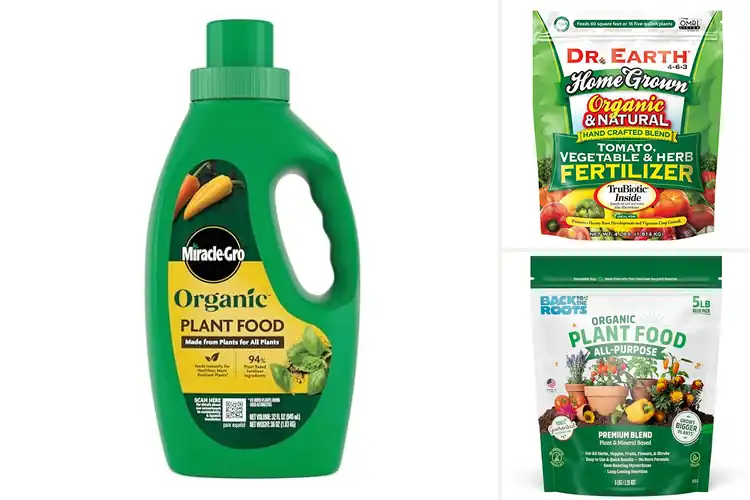 Detailed view of Best Organic-Based Fertilizers