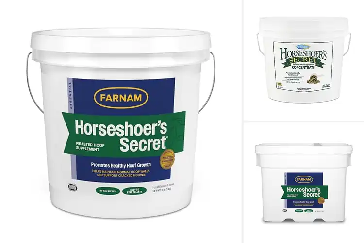 Detailed view of Best Pelleted Horse Supplements