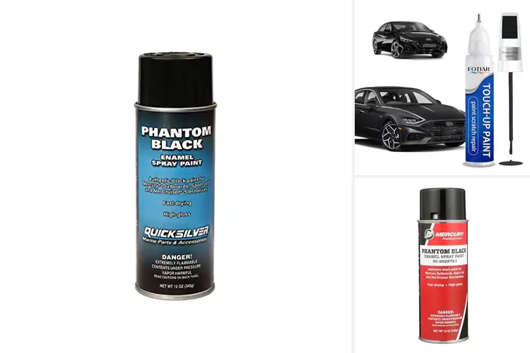 Detailed view of Best Phantom Black Paints