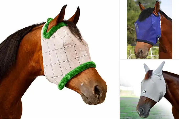 Detailed view of Best Protective Horse Fly Masks