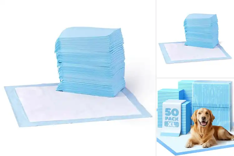 Detailed view of Best Puppy Training Pads