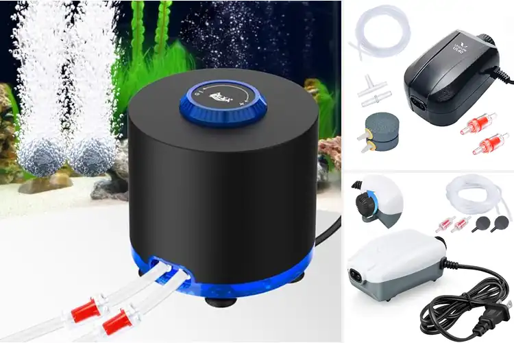 Detailed view of Best Quiet Fish Tank Pumps for Peaceful, Healthy Aquariums