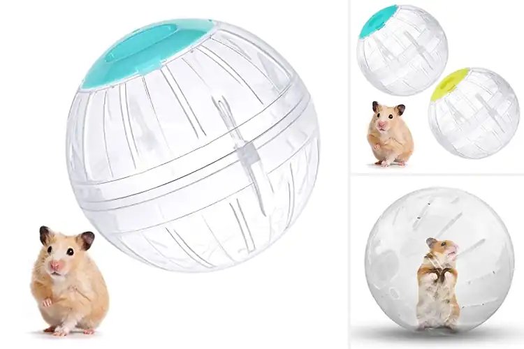 Detailed view of Best Running Balls For Small Animals