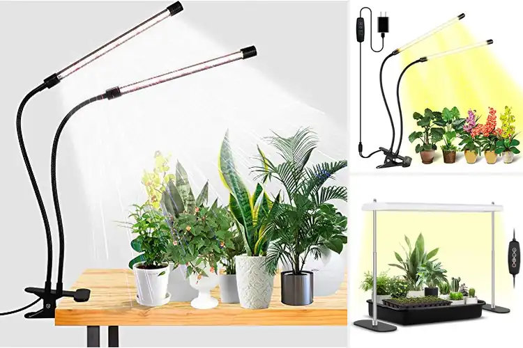 Detailed view of Best Seedling Grow Lights: Boost Your Indoor Garden’s Growth
