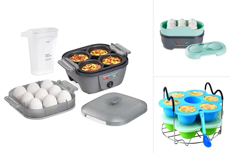 Detailed view of Best Sous Vide Egg Cookers