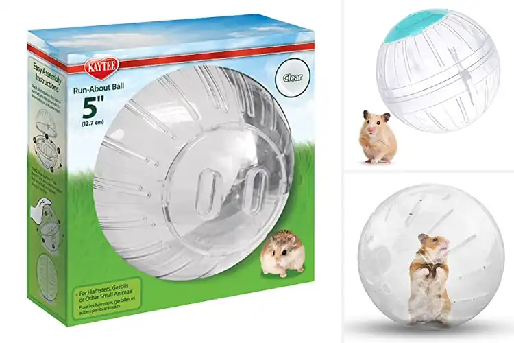 Detailed view of Best Transparent Hamster Balls