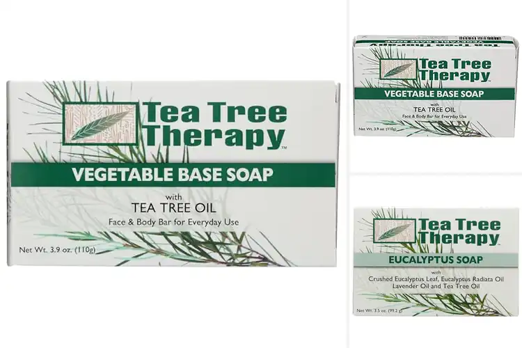 Detailed view of Best Vegetable Based Soaps