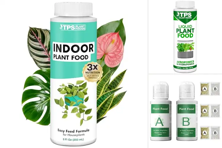 Detailed view of Best Versatile Plant Nutrients: Boost Growth Fast