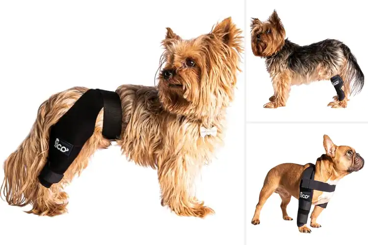 Detailed view of Best Veterinary Orthopedic Braces