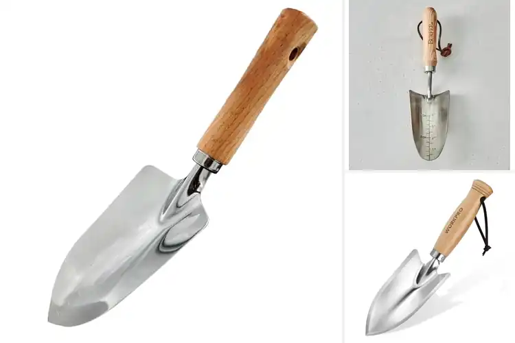 Detailed view of Best Wooden Handle Trowels